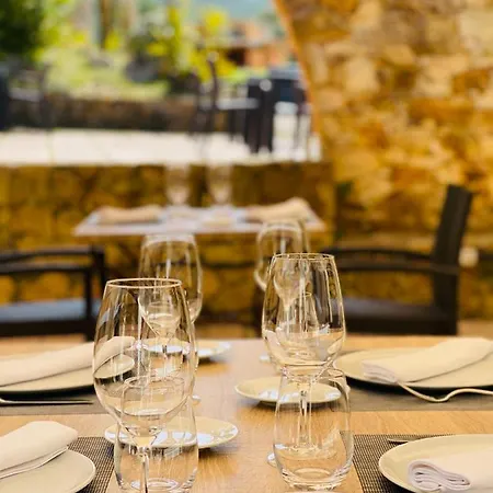 Hotel Mas Salvi Country Boutique 4*