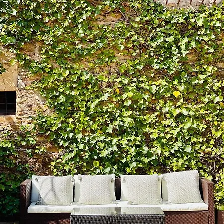 Hotel Mas Salvi Country Boutique